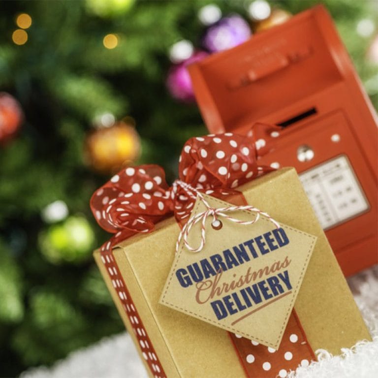 Christmas Guaranteed Delivery