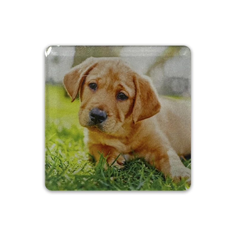 Large Square Fridge Magnet Acrylic Printed Example